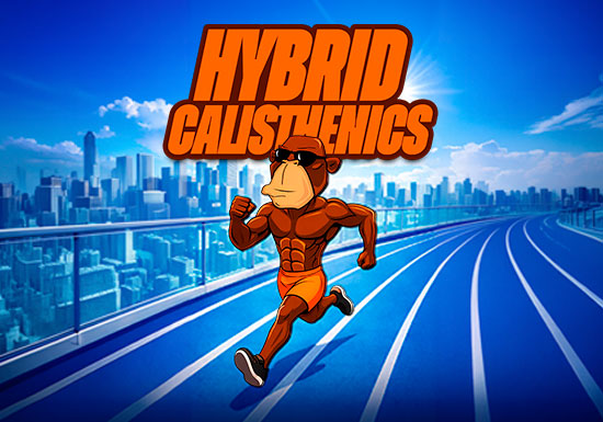 MONKEY BUSINESS CALISTHENICS GYM